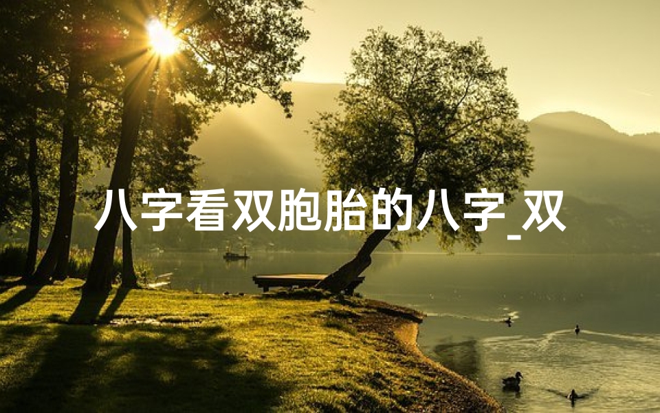八字看双胞胎的八字_双胞胎八字命理:揭秘同根同源的不同命运