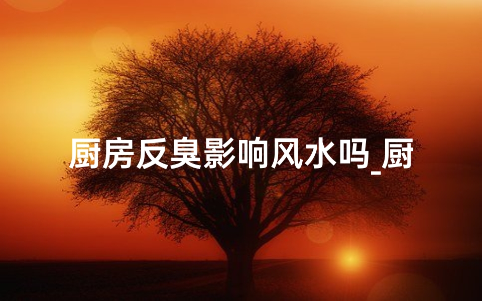 厨房反臭影响风水吗_厨房反臭味