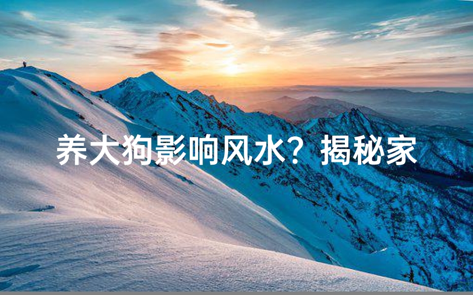 养大狗影响风水?揭秘家居风水禁忌