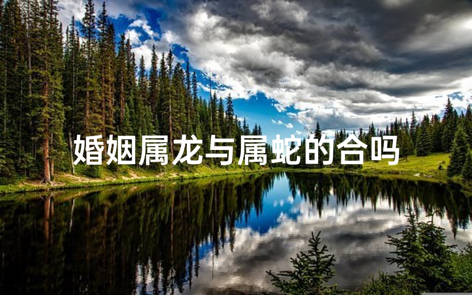 婚姻属龙与属蛇的合吗