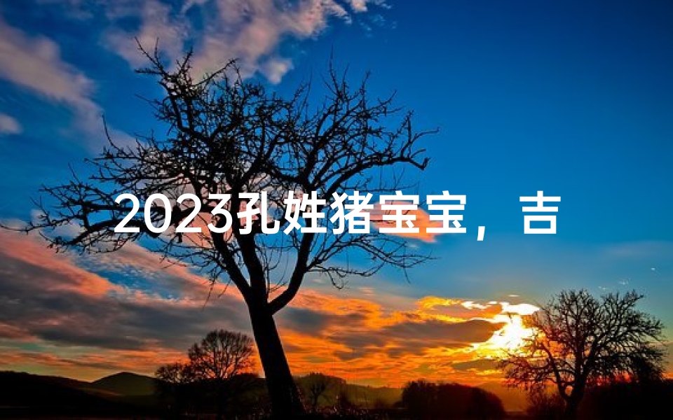 2023孔姓猪宝宝,吉祥如意好名字大公开