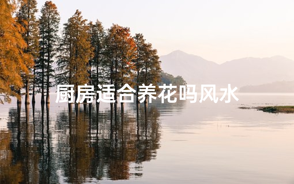 厨房适合养花吗风水