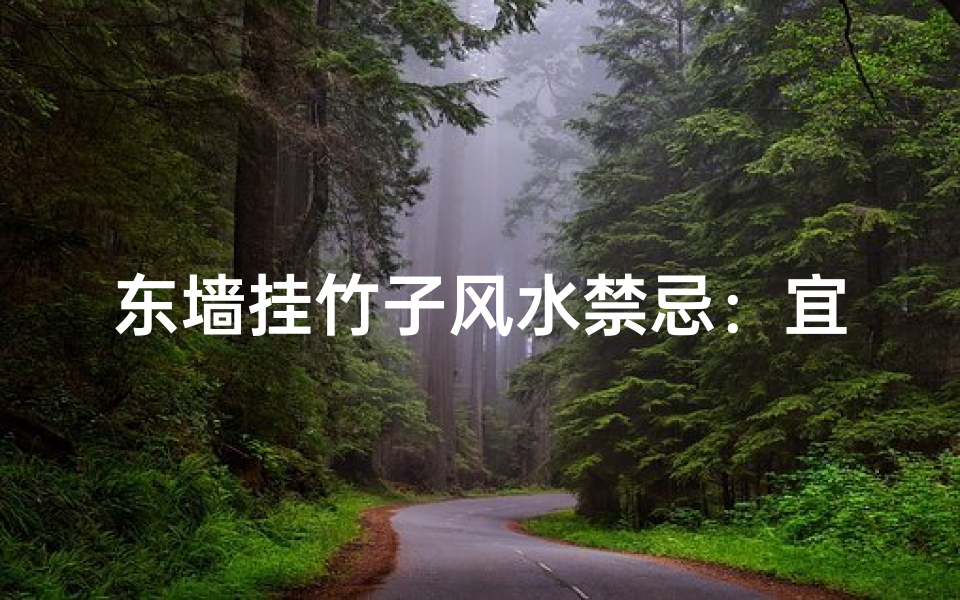 东墙挂竹子风水禁忌:宜忌解析与摆放技巧