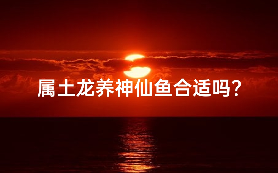 属土龙养神仙鱼合适吗?揭秘风水搭配秘诀-算卦网