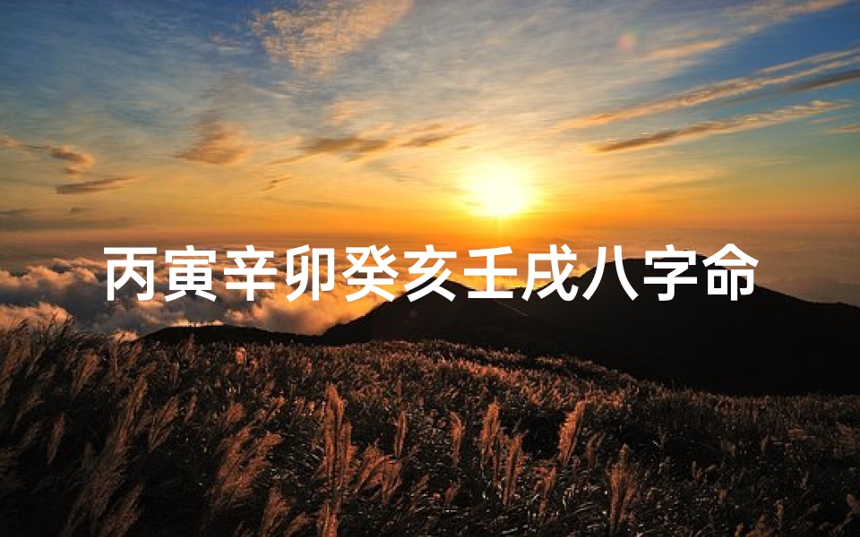 丙寅辛卯癸亥壬戌八字命理、丙寅辛卯辛亥己亥八字怎么样