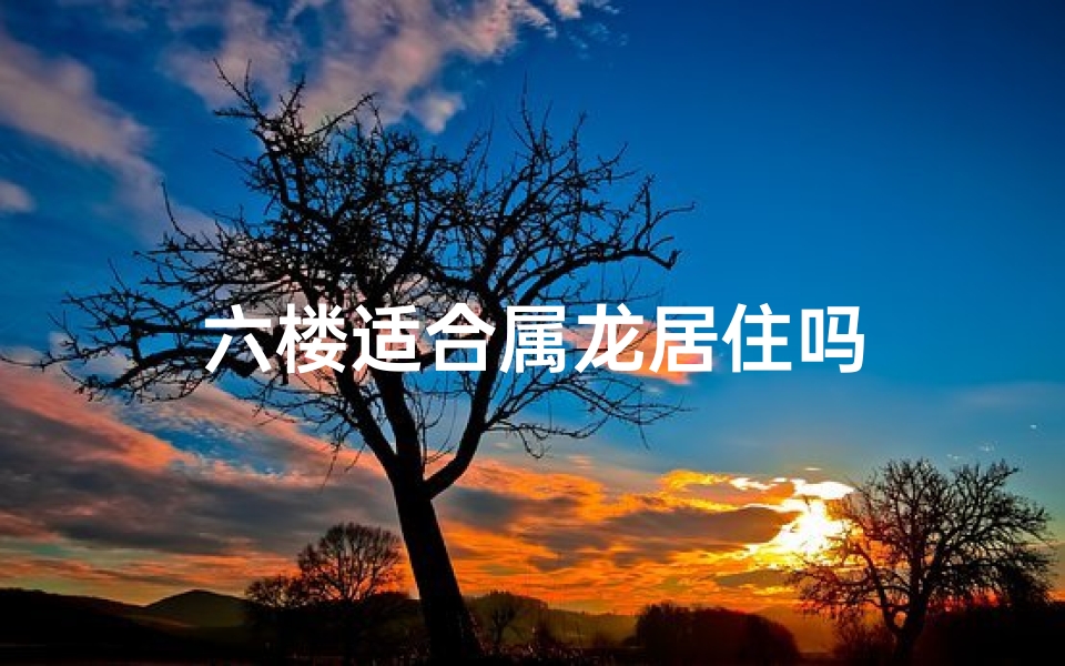 六楼适合属龙居住吗