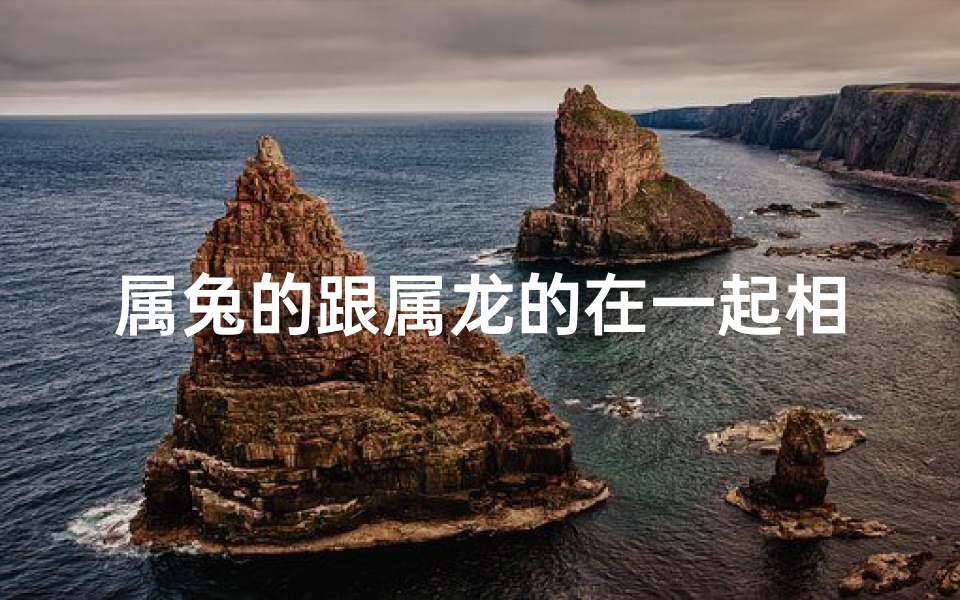 属兔的跟属龙的在一起相克吗(属兔与属龙相克?揭秘生肖搭配之谜)