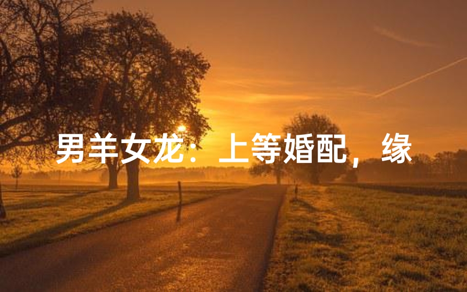男羊女龙:上等婚配,缘定三生