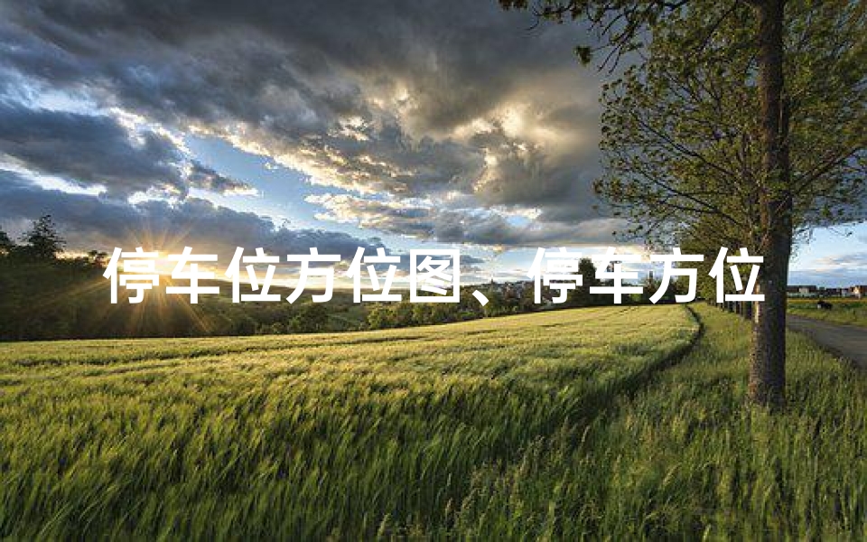 停车位方位图、停车方位风水讲究多,车位选得好,运势自然旺