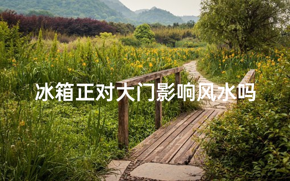 冰箱正对大门影响风水吗
