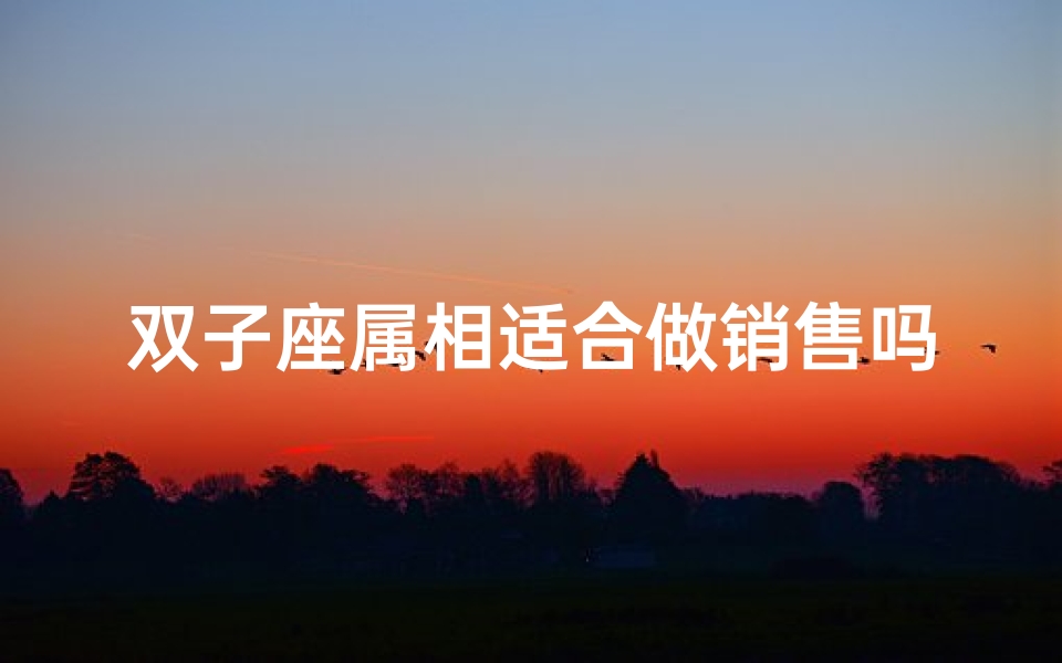 双子座属相适合做销售吗