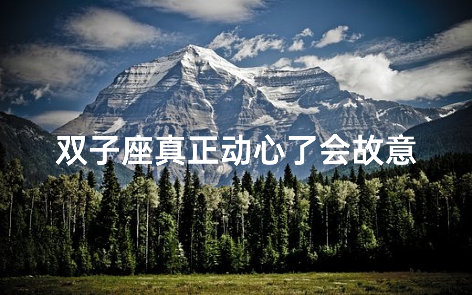 双子座真正动心了会故意不理你吗