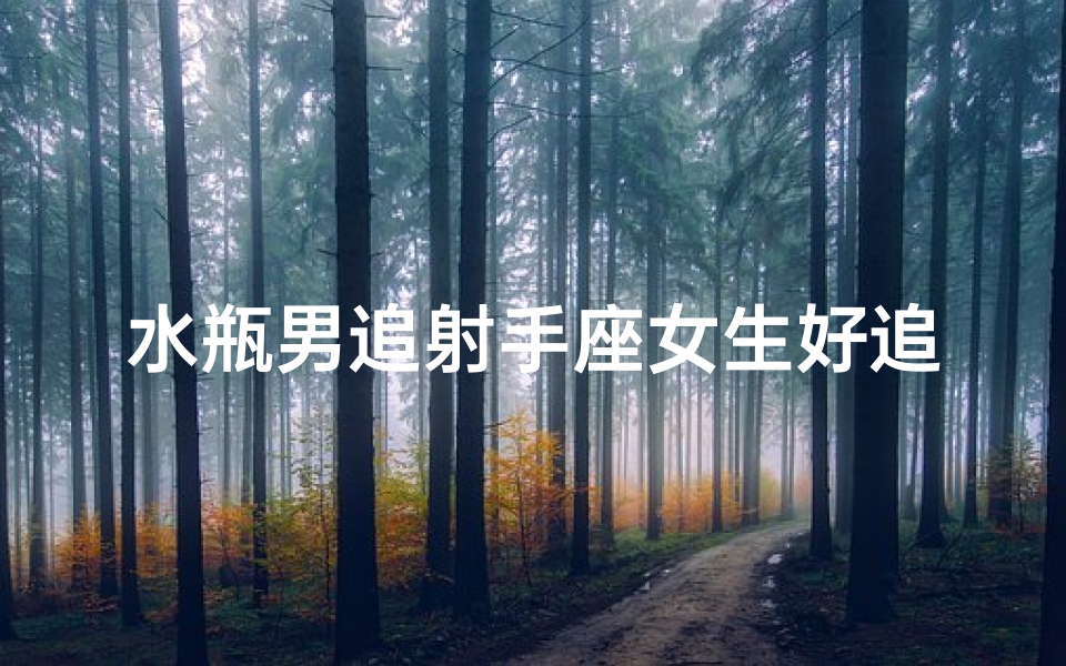 水瓶男追射手座女生好追吗