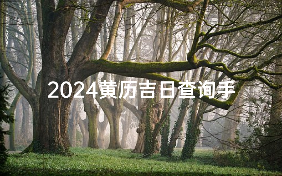 2024黄历吉日查询手术,2024黄历吉日选手术:最佳手术时机查询指南