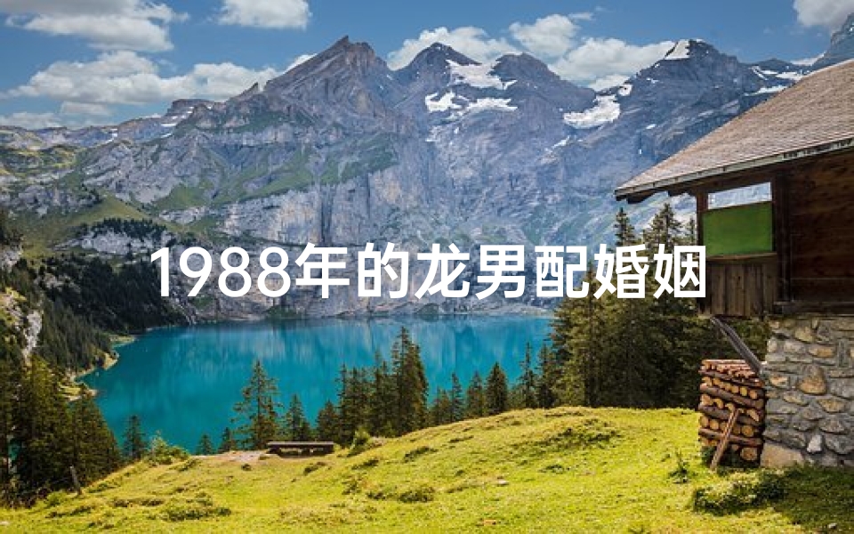 1988年的龙男配婚姻—1988龙年男士婚配指南:幸福美满秘诀