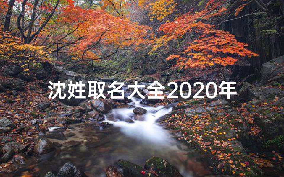 沈姓取名大全2020年;《沈姓宝宝取名大全:精选百款寓意美好名字》-算卦网