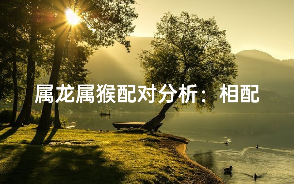 属龙属猴配对分析:相配指数揭秘