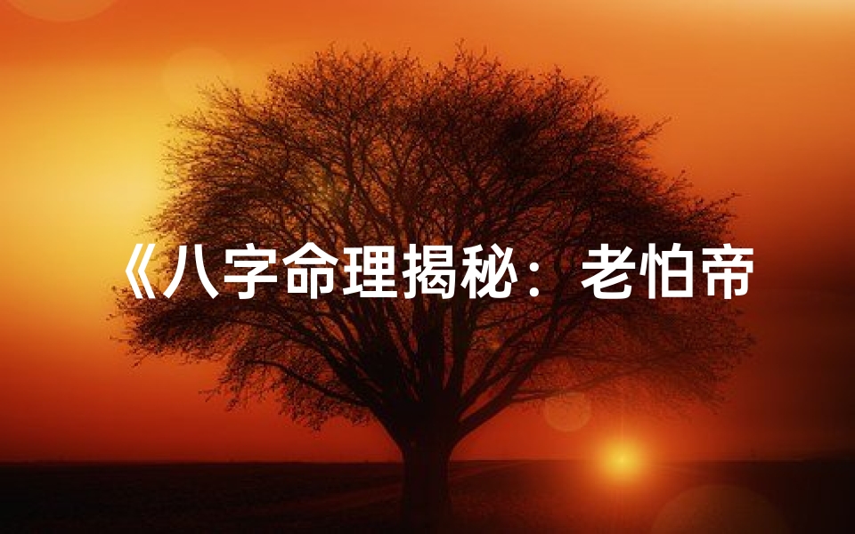 《八字命理揭秘:老怕帝运的神秘力量》