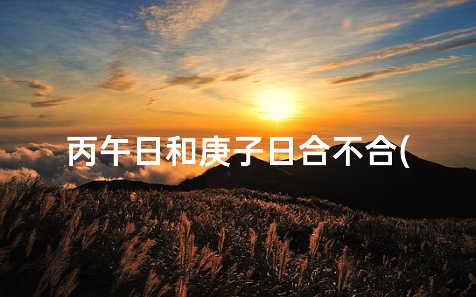 丙午日和庚子日合不合(《丙午庚子八字命理揭秘:运势解析与人生指引》)