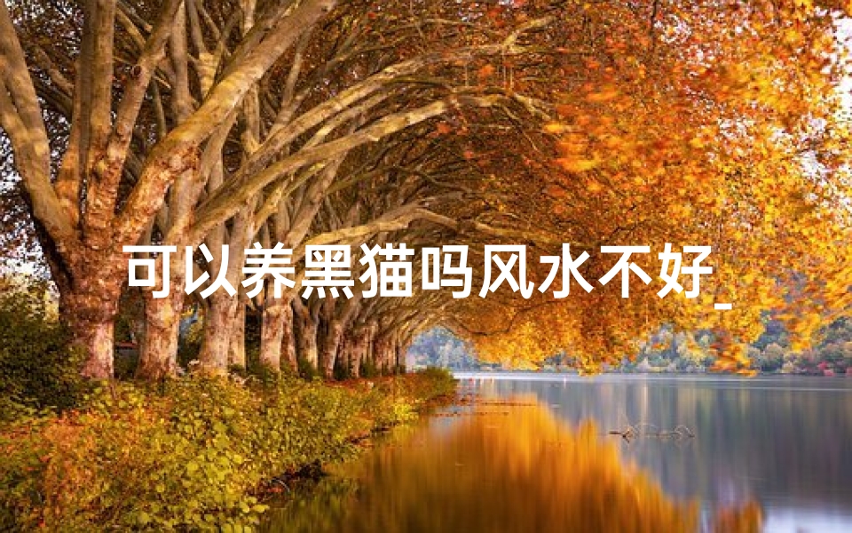 可以养黑猫吗风水不好_风水学养黑猫好吗