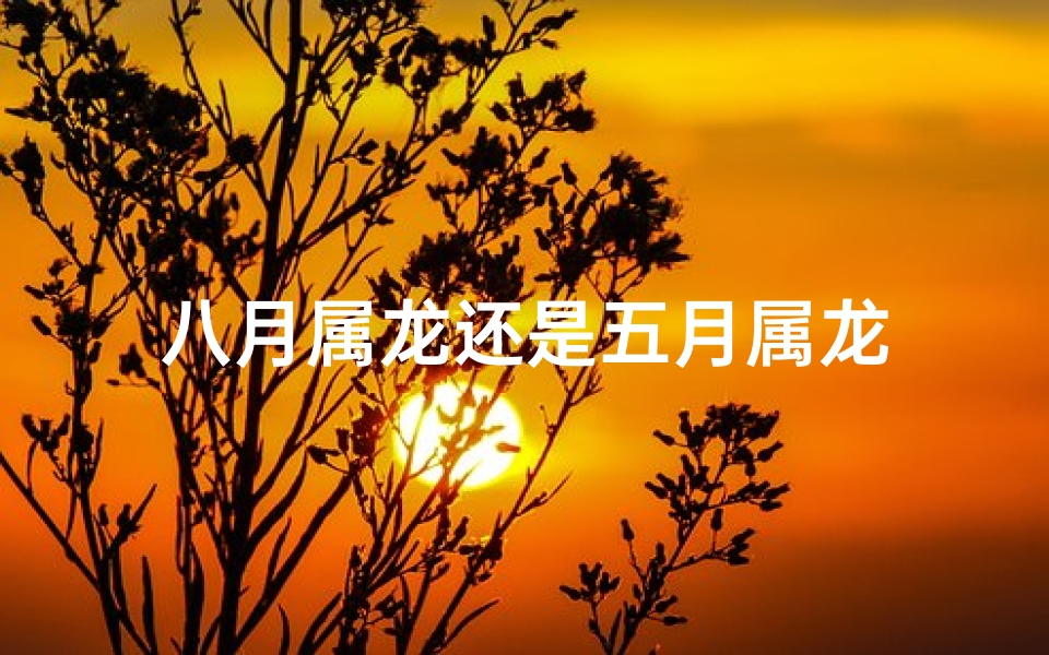八月属龙还是五月属龙