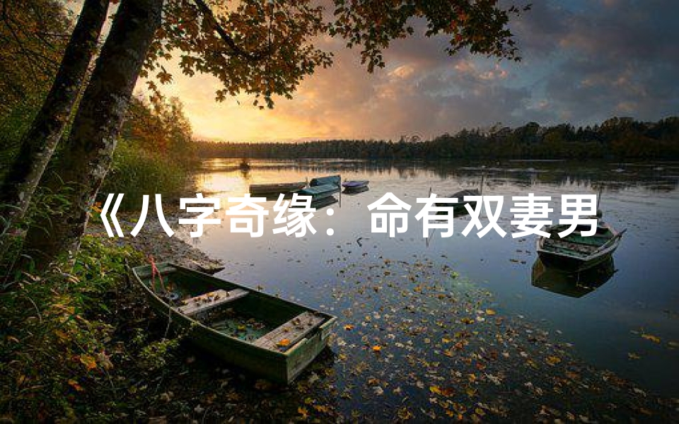 《八字奇缘：命有双妻男孩的神秘命运》
