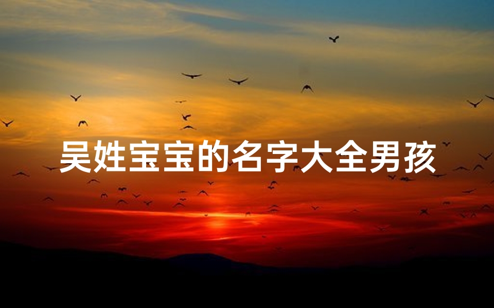 吴姓宝宝的名字大全男孩