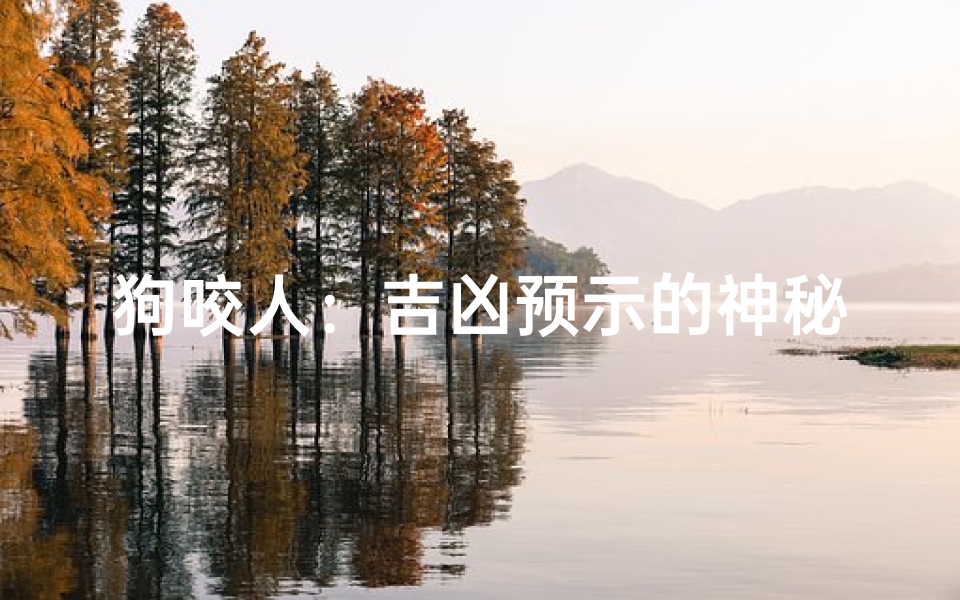 狗咬人:吉凶预示的神秘解读