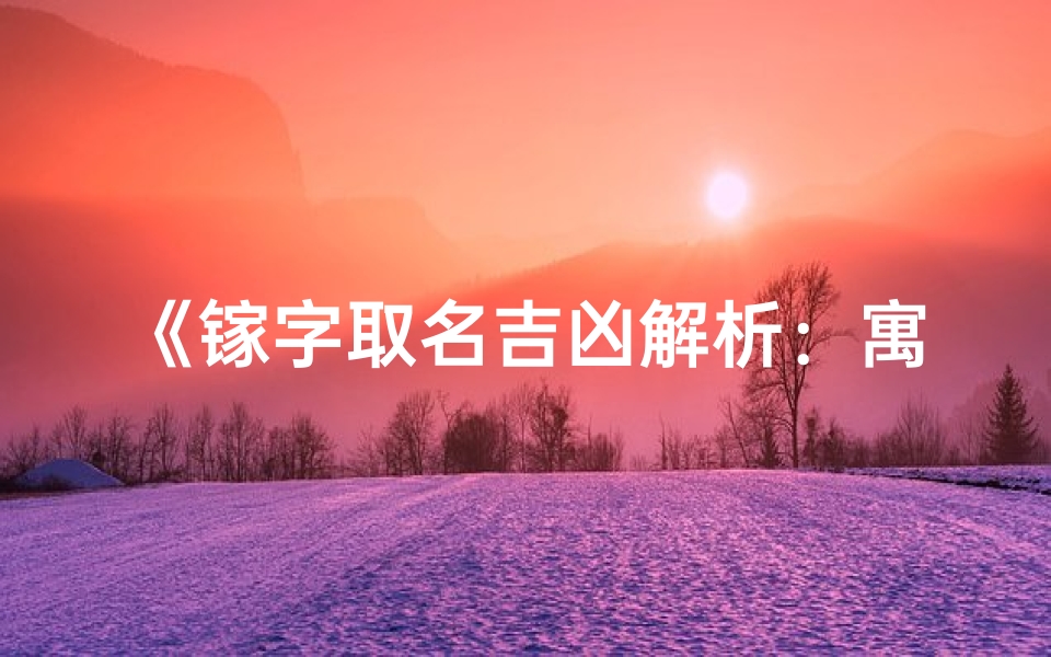 《镓字取名吉凶解析:寓意与运势揭秘》