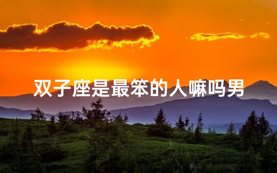 双子座是最笨的人嘛吗男生(双子座是不是最笨的)