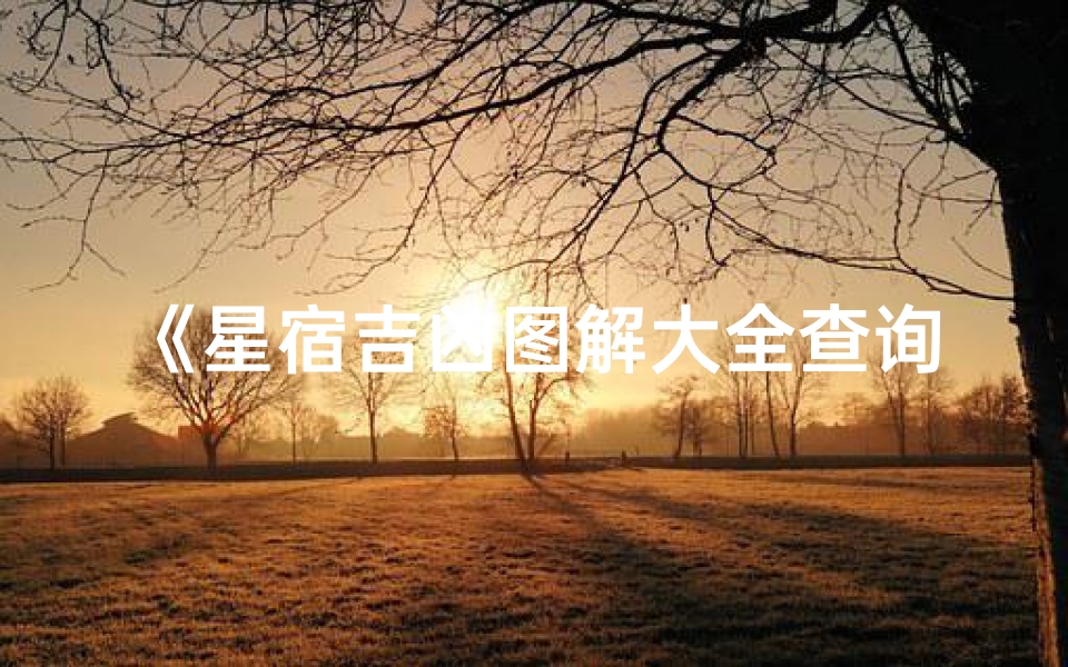 《星宿吉凶图解大全查询宝典》