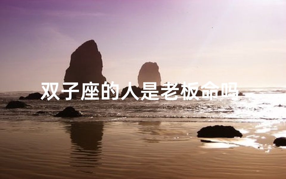 双子座的人是老板命吗_双子座老板命:揭秘双子的商业天赋
