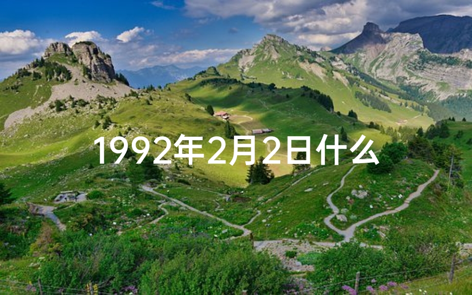 1992年2月2日什么命,《92年2月2日命格揭秘:命运转折点》