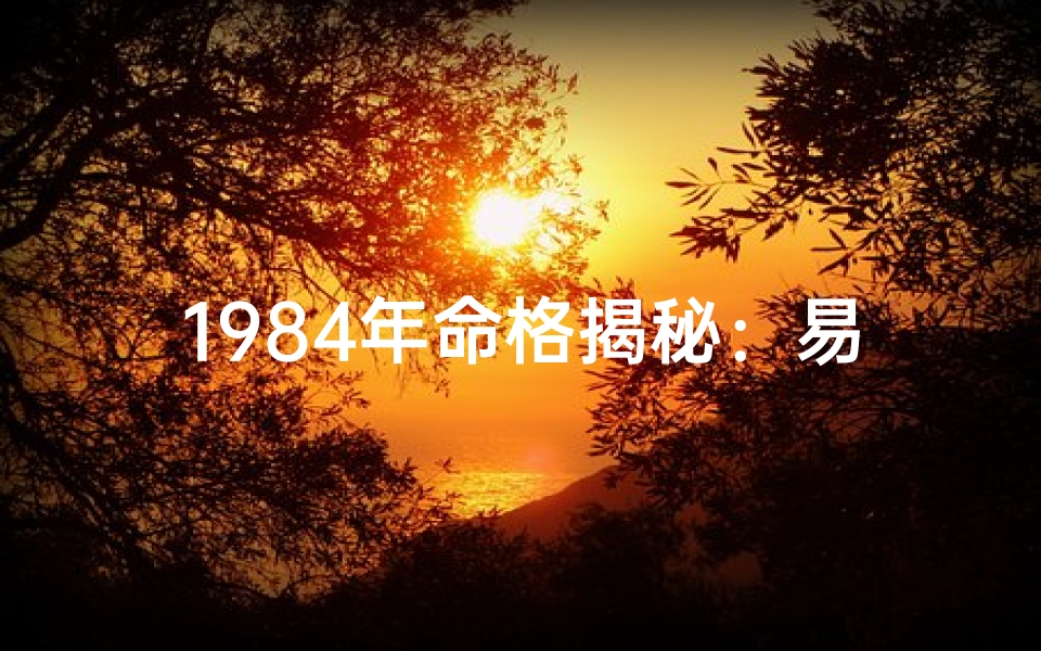1984年命格揭秘：易学中的独特命运密码