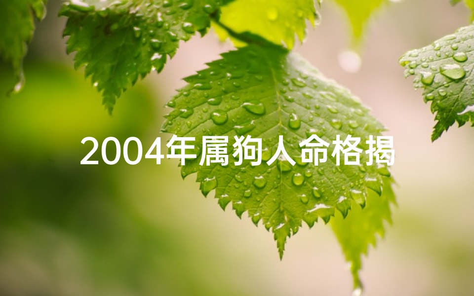 2004年属狗人命格揭秘:运势与人生指南