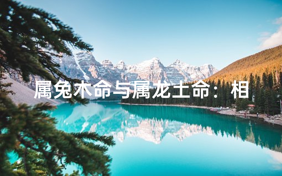 属兔木命与属龙土命:相配之谜揭晓