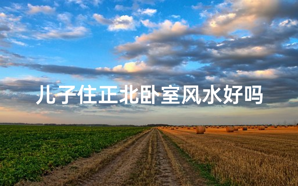 儿子住正北卧室风水好吗?揭秘卧室方位风水秘密