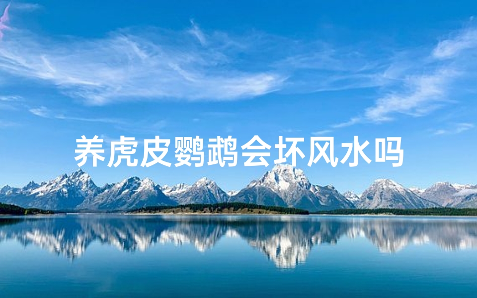 养虎皮鹦鹉会坏风水吗