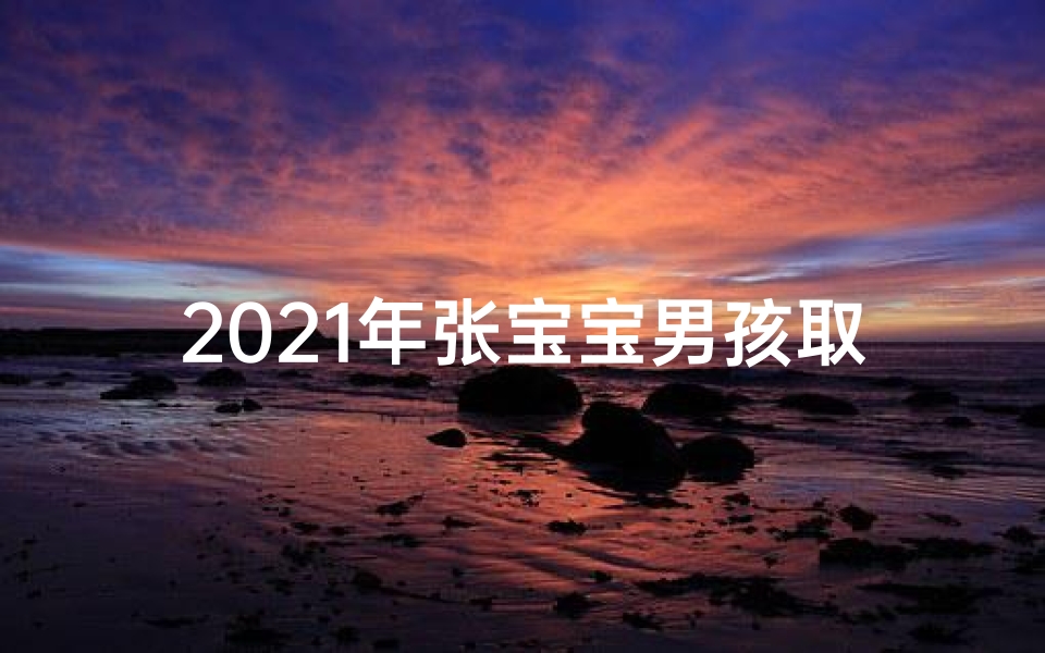 2021年张宝宝男孩取什么名字好(《张宝宝:揭秘宝宝取名背后的温馨故事》)