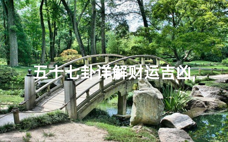 五十七卦详解财运吉凶,《五十七卦揭秘财运吉凶:运势指南》