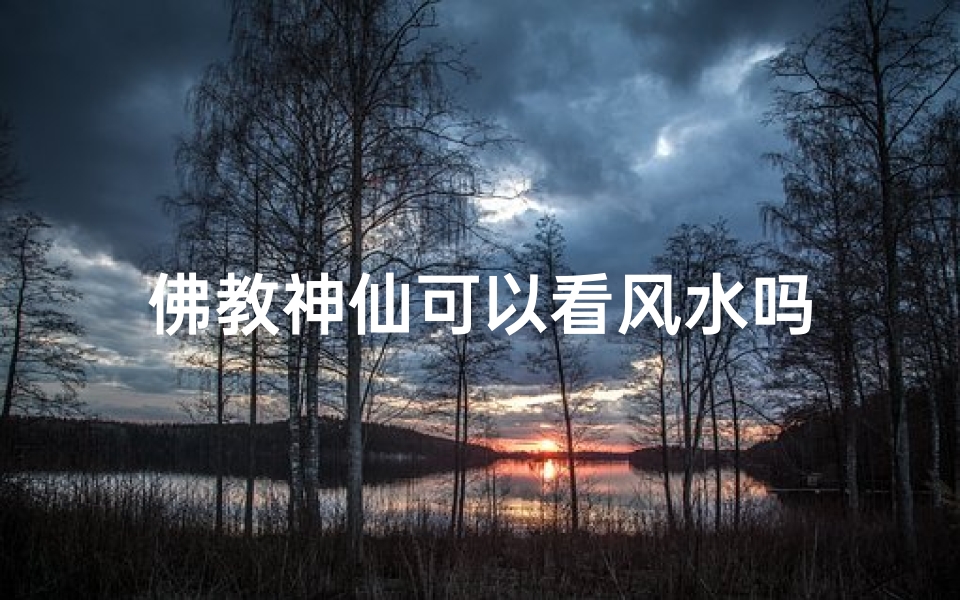 佛教神仙可以看风水吗