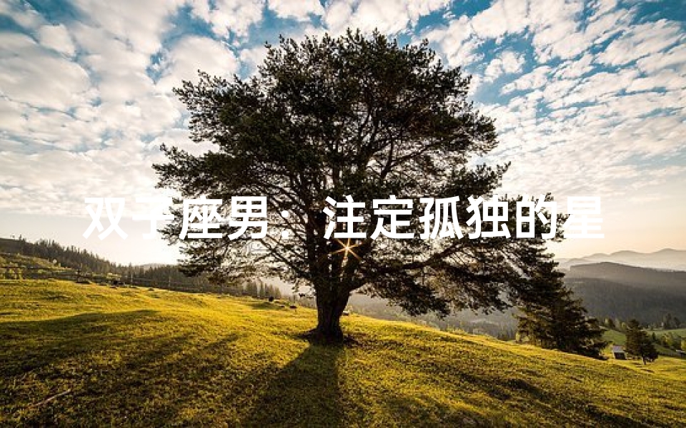 双子座男:注定孤独的星辰之旅?