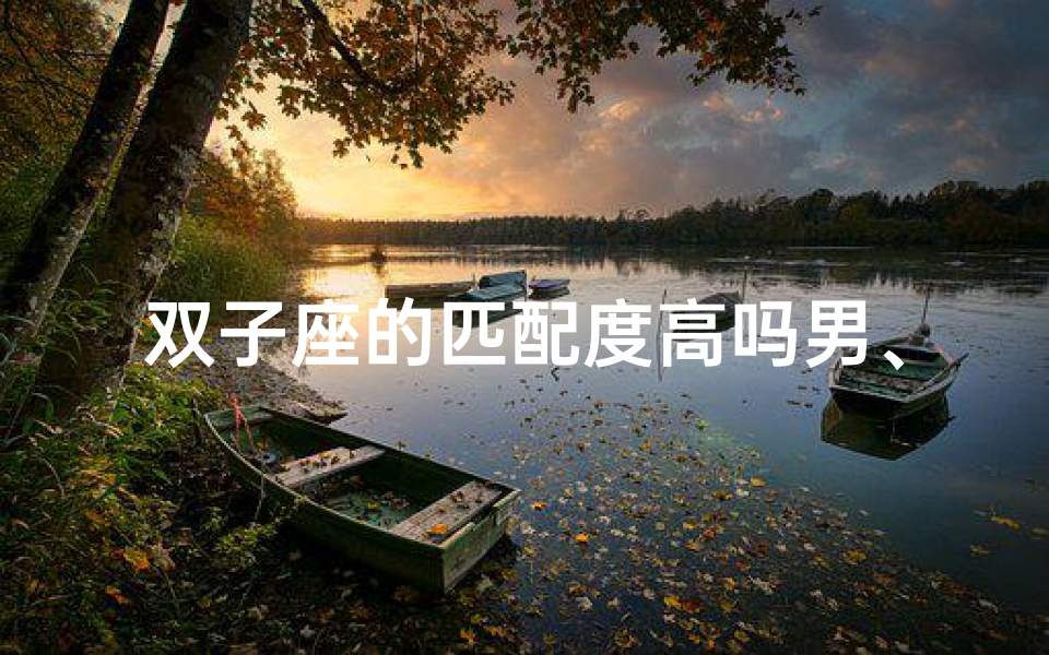 双子座的匹配度高吗男、双子座匹配度最高的星座