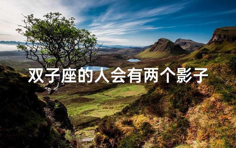 双子座的人会有两个影子吗-双子座:揭秘双影之谜,双重人格的奥秘-算卦网