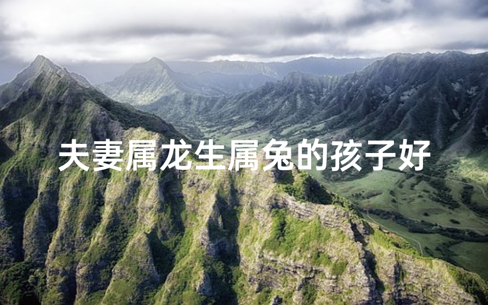 夫妻属龙生属兔的孩子好吗