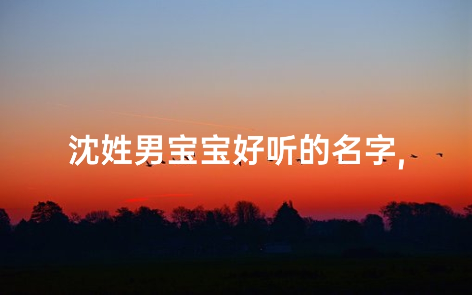 沈姓男宝宝好听的名字,姓沈男孩名字好听时尚-算卦网
