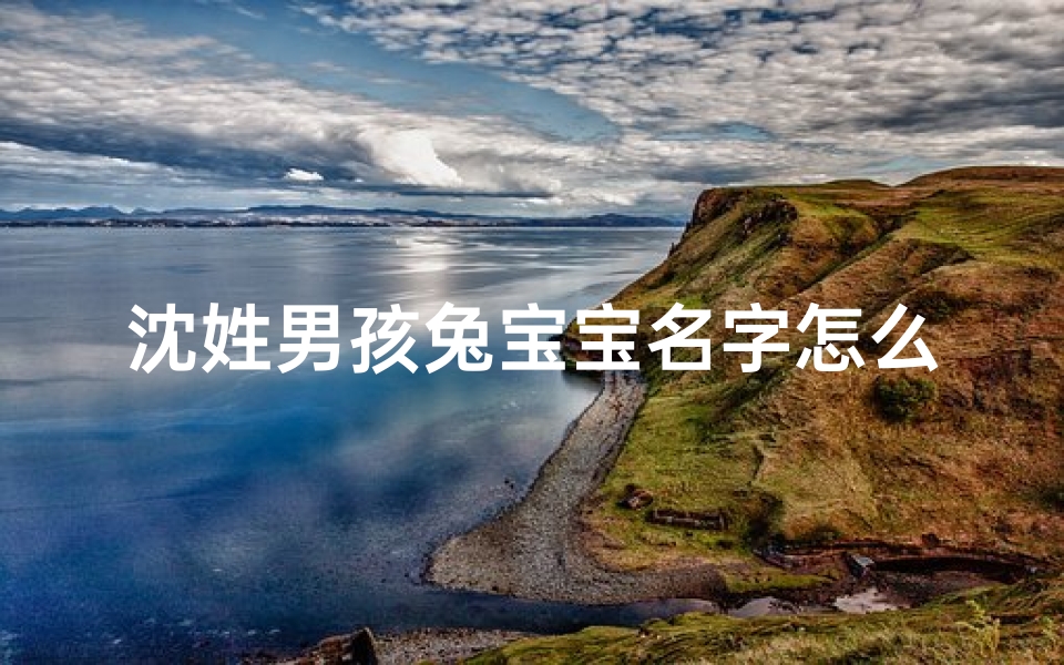 沈姓男孩兔宝宝名字怎么取-算卦网