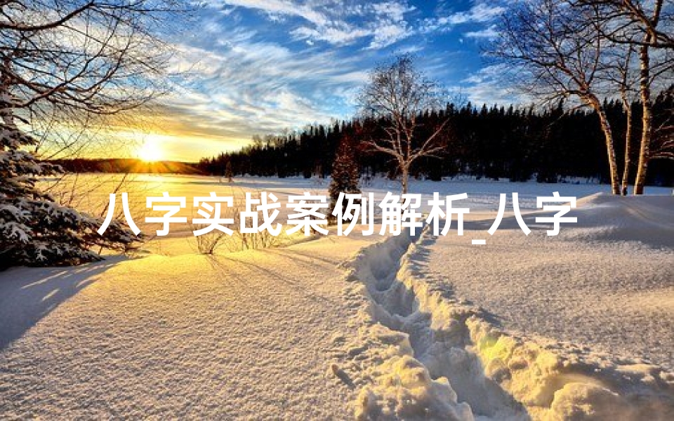 八字实战案例解析_八字命局案例分析详解:实战解析与启示