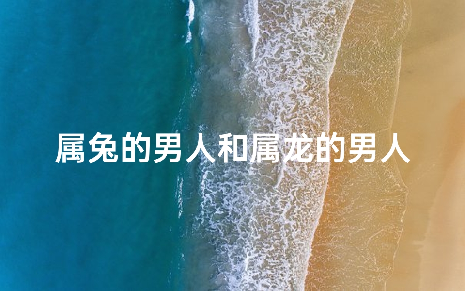 属兔的男人和属龙的男人,兔龙相吸:揭秘属兔男与属龙男的奇妙缘分