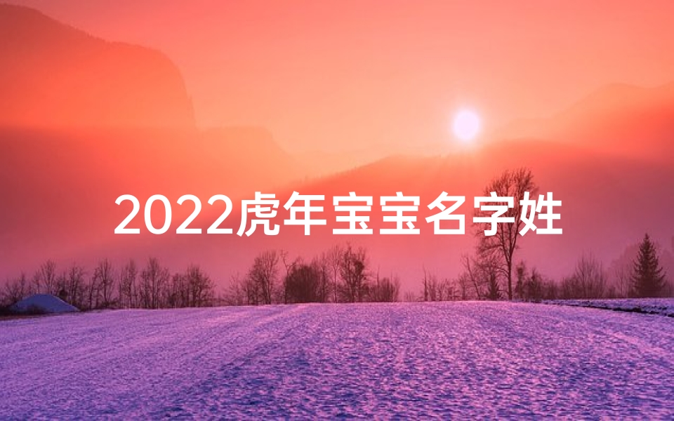 2022虎年宝宝名字姓何
